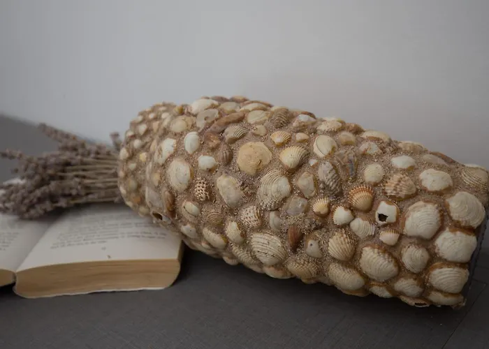 아파트 Carol Royal 챠브타트